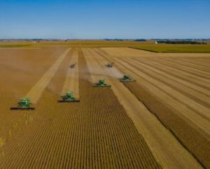 Lee más sobre el artículo Brasil consolida su reinado con récord histórico de soja que proyecta al gigante como el proveedor imbatible del mundo