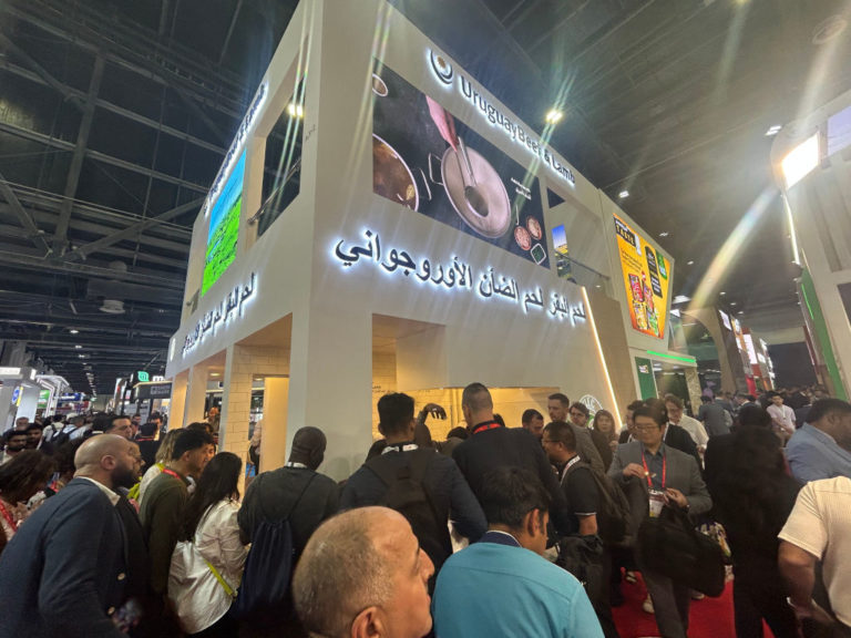 Lee más sobre el artículo La estrategia de INAC para conquistar el mercado Halal