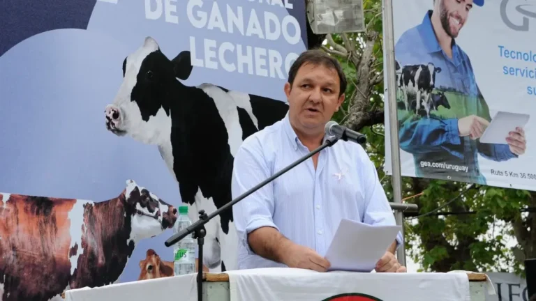 Lee más sobre el artículo San José se convierte en la capital del ovino