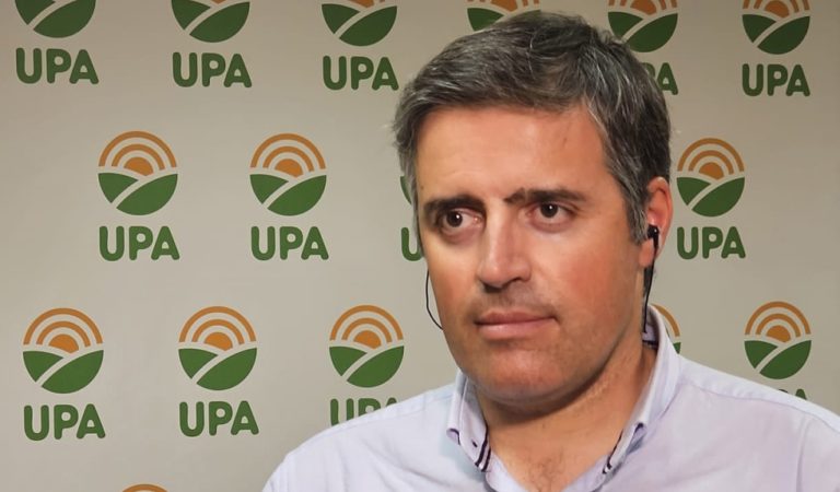 Lee más sobre el artículo El campo español en pie de guerra