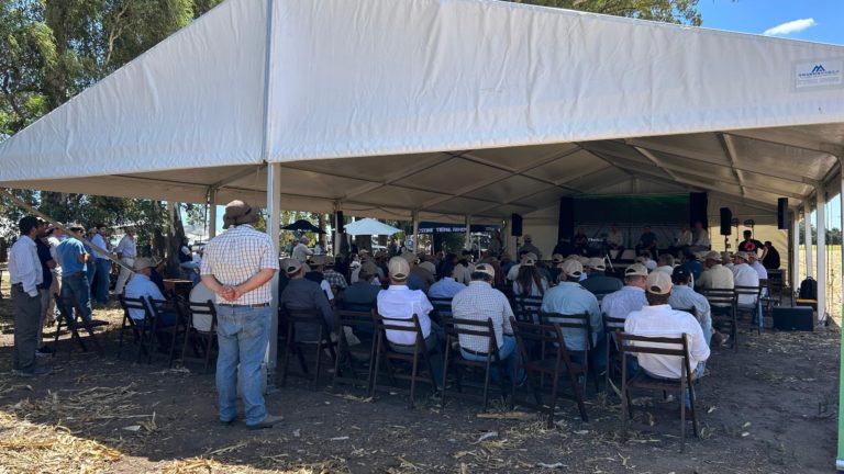 Lee más sobre el artículo ADP VISION 2026: Innovación y resultados reales en el corazón de Dolores