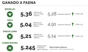 Lee más sobre el artículo El mercado ganadero impulsado por firmeza y dinámica en las operaciones