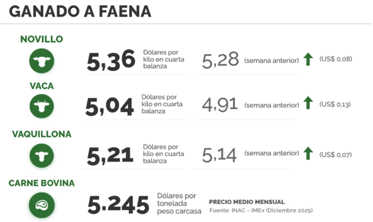 Lee más sobre el artículo El mercado ganadero impulsado por firmeza y dinámica en las operaciones