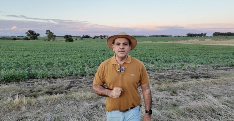 Lee más sobre el artículo La soja muy exigida en la mitad del país replantea el escenario agrícola