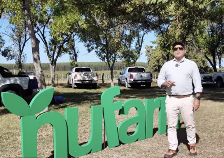 Lee más sobre el artículo Los aceites vegetales abren oportunidades de la mano de las brasicas