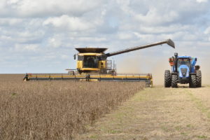 Lee más sobre el artículo El precio de la soja recupera terreno y alcanza los US$ 380 por tonelada
