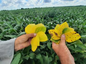 Lee más sobre el artículo Cambio de escenario en el litoral: el regreso de las lluvias marca el fin del déficit hídrico