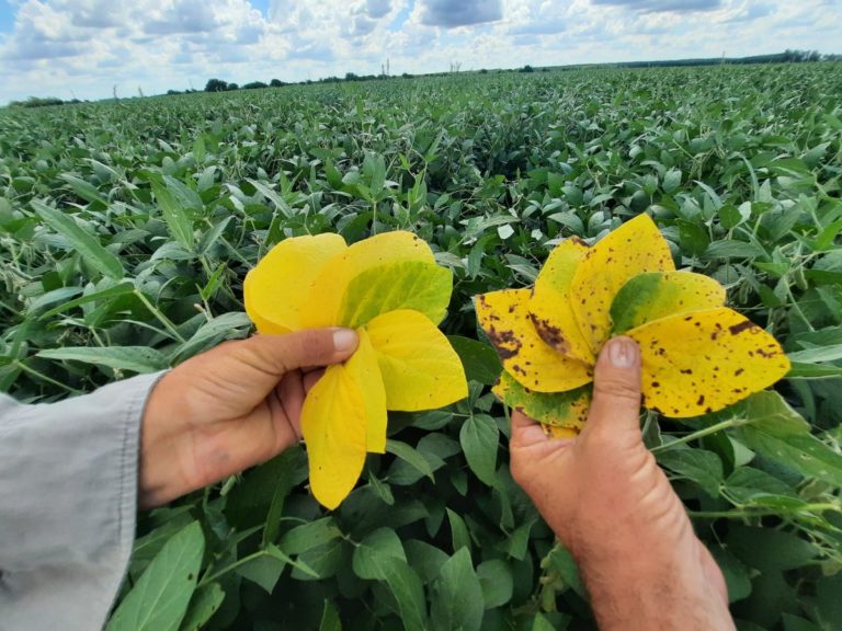 Lee más sobre el artículo Cambio de escenario en el litoral: el regreso de las lluvias marca el fin del déficit hídrico