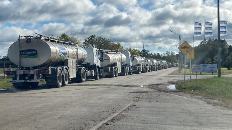 Lee más sobre el artículo Conaprole: la asamblea de los 29 solicitó al Poder Ejecutivo que garantice relaciones laborales «sanas y justas»