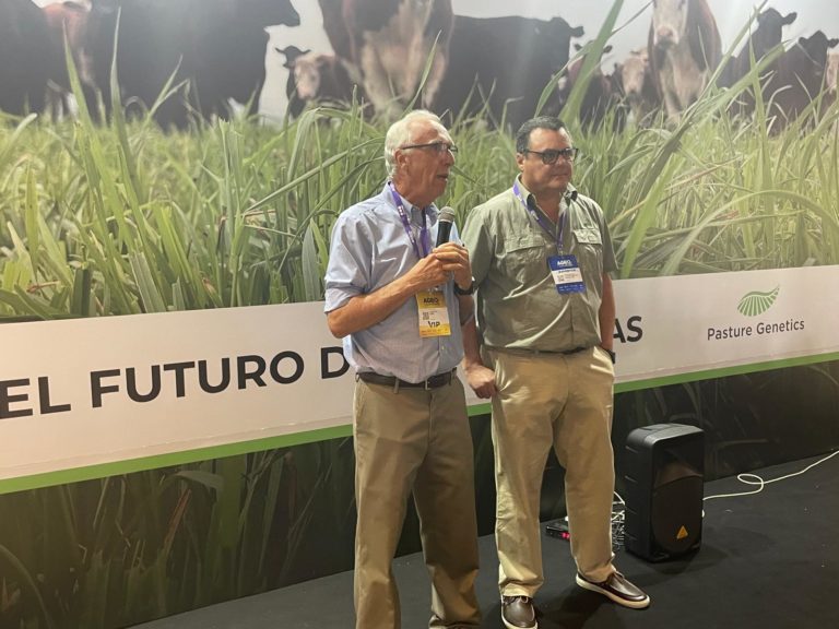 Lee más sobre el artículo Alianza Estratégica: Pasture Genetics y Barraca Erro potencian la Zafra de Pasturas