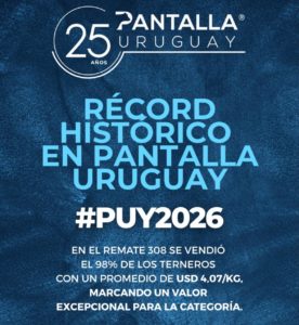 Lee más sobre el artículo El ternero rompe la barrera de los cinco dólares en el remate 308 de Pantalla Uruguay