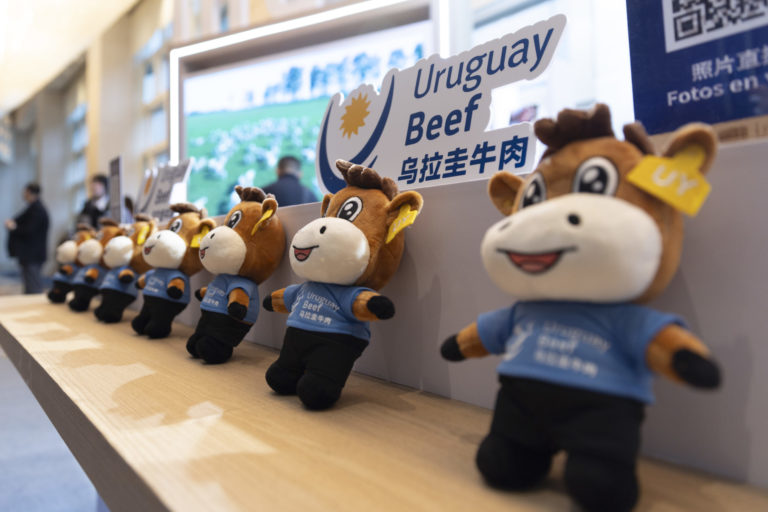 Lee más sobre el artículo Orsi propone abrir la «puerta de entrada» a Sudamérica ante empresarios asiáticos