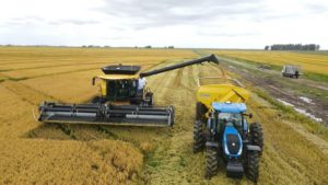 Lee más sobre el artículo Comasa apuesta a la eficiencia tecnológica para abatir costos en una zafra desafiante