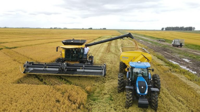 Lee más sobre el artículo Comasa apuesta a la eficiencia tecnológica para abatir costos en una zafra desafiante