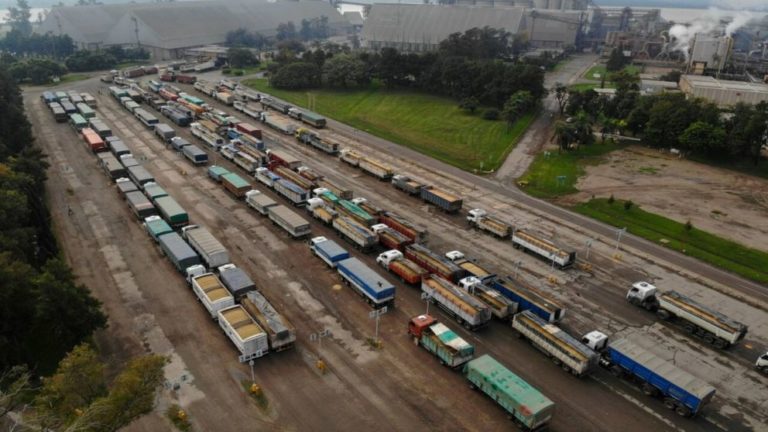 Lee más sobre el artículo El precio de la soja oscila entre la firmeza de Chicago y la presión de la cosecha sudamericana