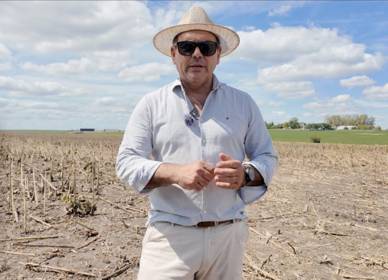 Lee más sobre el artículo Avanza la implementación de un seguro agrícola con apoyo de organismos multilaterales