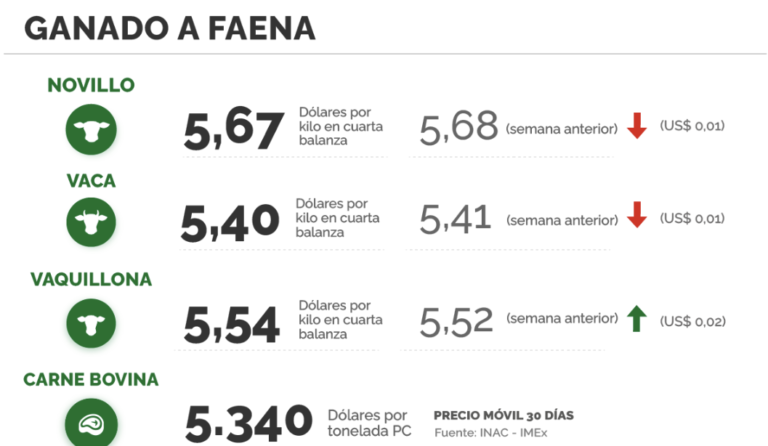 Lee más sobre el artículo Oferta retaceada y cautela en el inicio de la zafra de terneros