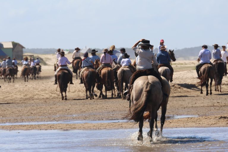 Lee más sobre el artículo Zafra de Equinos con firmeza y genética en la pista de Walter Hugo Abelenda