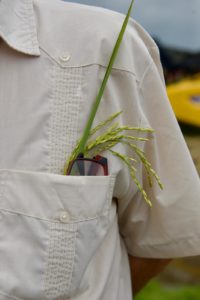 Lee más sobre el artículo Entre rendimientos récord y el impulso a la infraestructura de riego