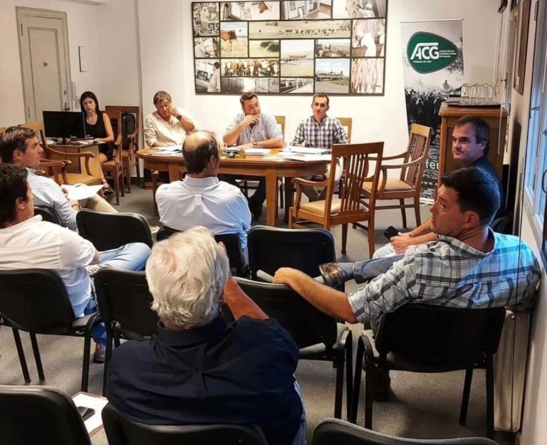 Lee más sobre el artículo Firmeza con matices de cautela en el mercado ganadero