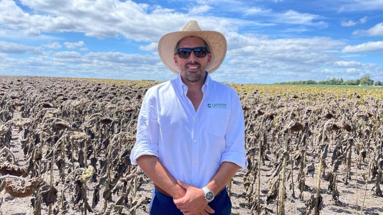Lee más sobre el artículo El girasol recupera terreno con 25.000 hectáreas y el sector ya proyecta la exportación