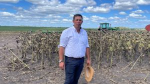 Lee más sobre el artículo Klaus Hartwich abre las porteras en Young