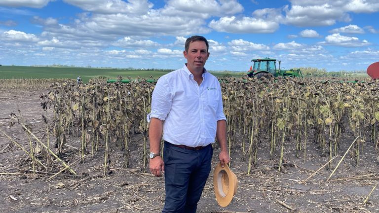 Lee más sobre el artículo Klaus Hartwich abre las porteras en Young