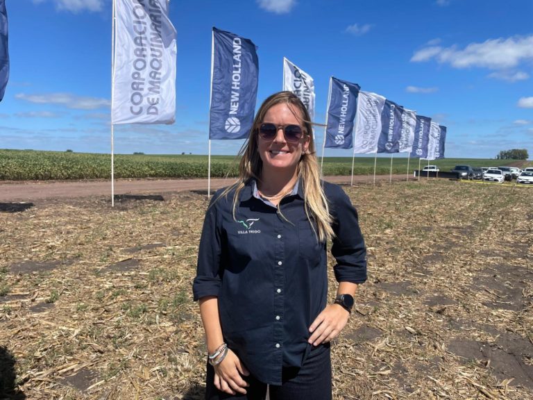 Lee más sobre el artículo Productores analizan el modelo de los «feedlots» en Texas