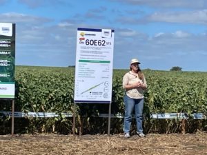 Lee más sobre el artículo Genética en soja: el despliegue de la tecnología Enlist