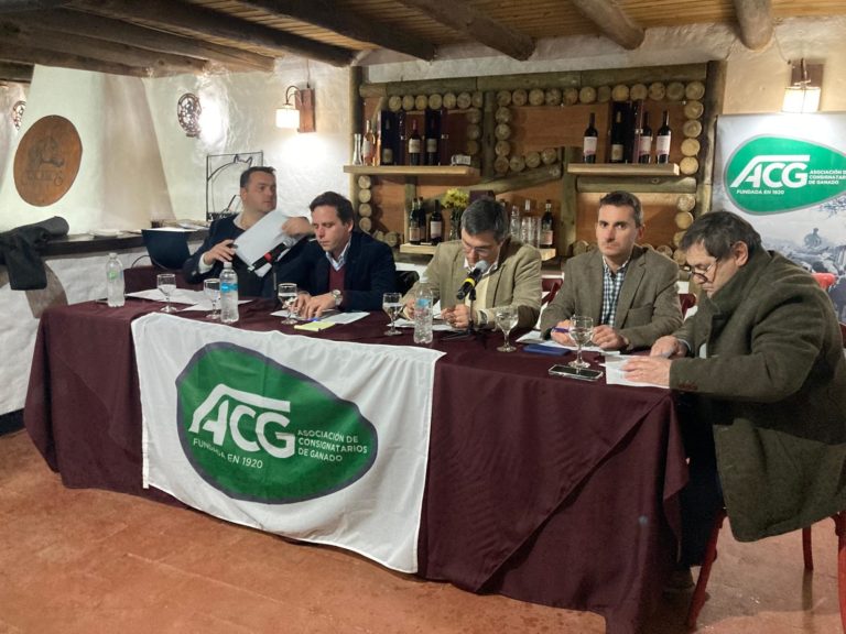 Lee más sobre el artículo Mercado de haciendas en formación y firmeza en la reposición