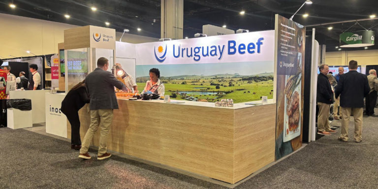 Lee más sobre el artículo La proteína como eje de la alimentación