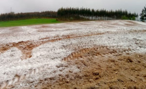 Lee más sobre el artículo La llave para aumentar el PBI uruguayo en un 0,5%