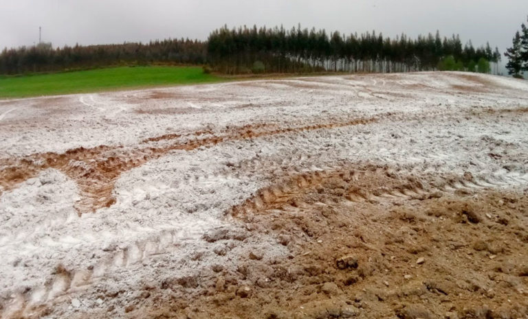 Lee más sobre el artículo La llave para aumentar el PBI uruguayo en un 0,5%