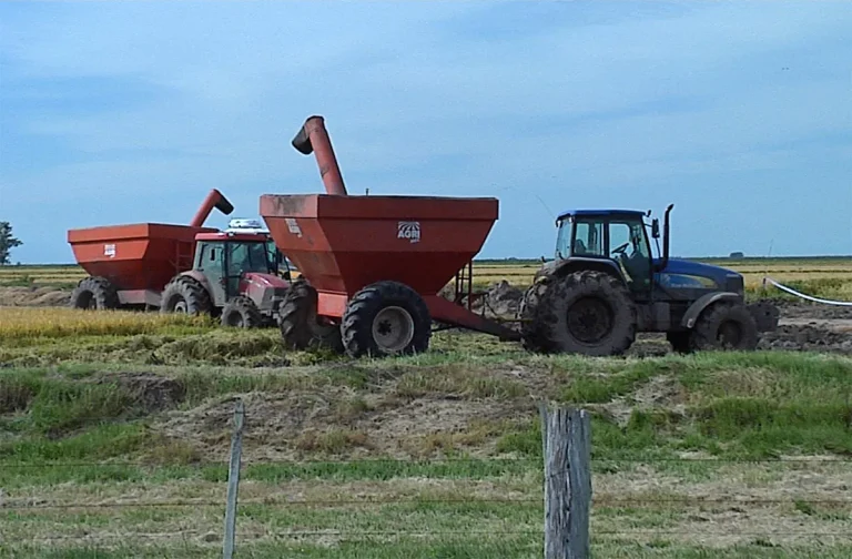 Lee más sobre el artículo El gasoil transfiere 100 millones de dólares anuales a Rentas Generales