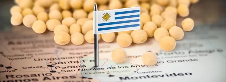 Lee más sobre el artículo El MGAP lanza una alerta sanitaria y exige extremar cuidados para evitar contaminación en la cosecha de soja