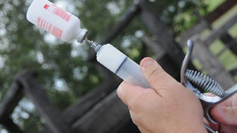 Lee más sobre el artículo Comienza el periodo de vacunación antiaftosa