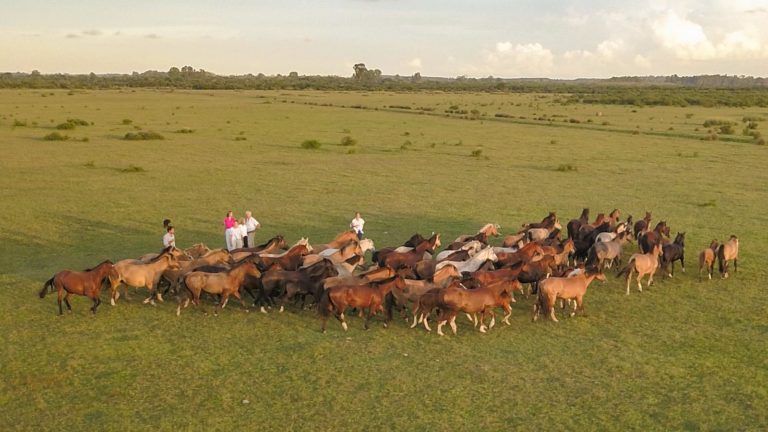 Lee más sobre el artículo Con altas expectativas, se pone en marcha la zafra de otoño