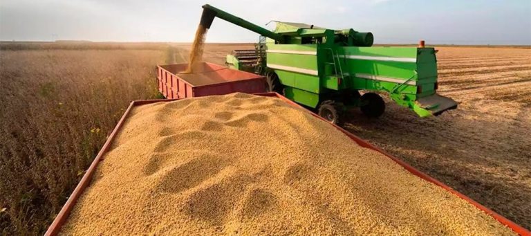 Lee más sobre el artículo Los rindes de soja van desde 800 a 2.500 kilos por hectárea al comienzo de la trilla