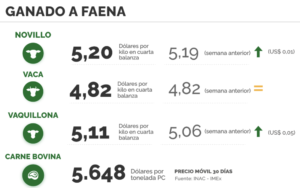 Lee más sobre el artículo Un mercado de cautela y disparidad en las puertas de mayo