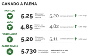 Lee más sobre el artículo Mercado ganadero: oferta retraída y dinamismo en la reposición