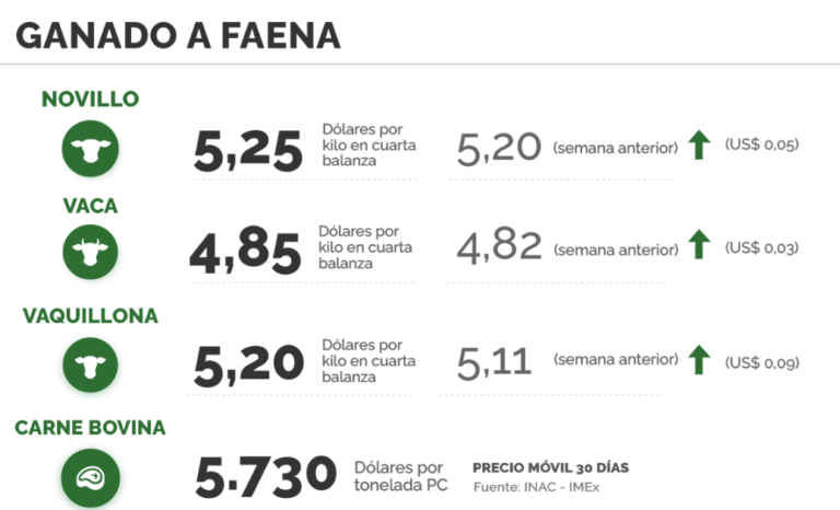 Lee más sobre el artículo Mercado ganadero: oferta retraída y dinamismo en la reposición
