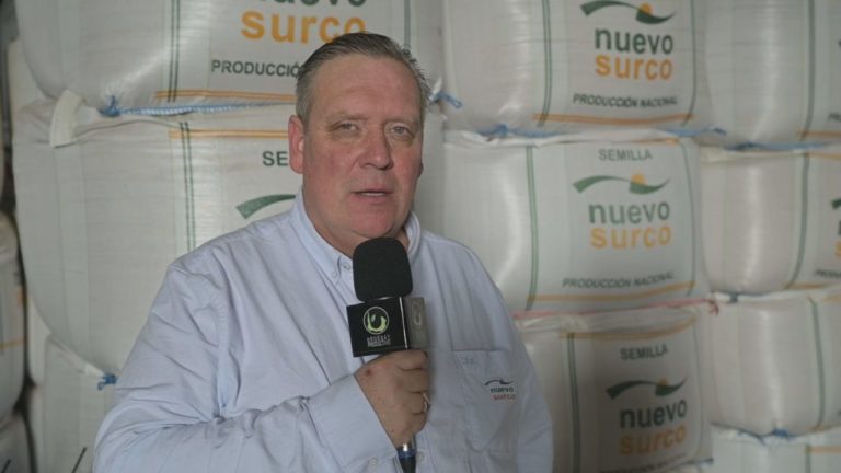 Lee más sobre el artículo Nuevo Surco impulsa la diversificación de cultivos de invierno ante el repunte de precios