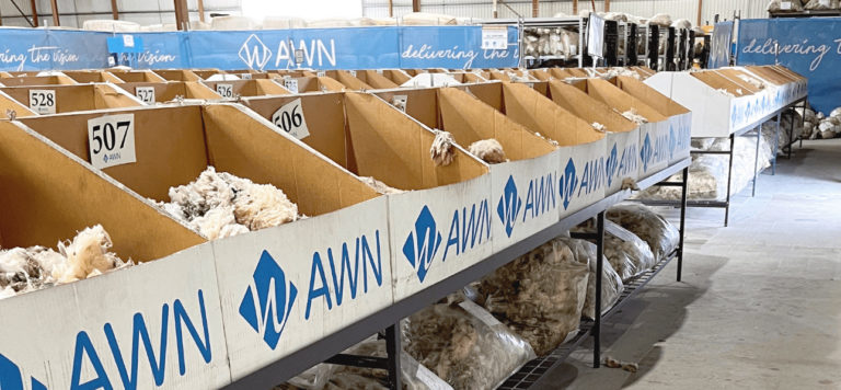 Lee más sobre el artículo Mercado Lanero Australiano con un fuerte repunte del IME y firmeza en todas las categorías