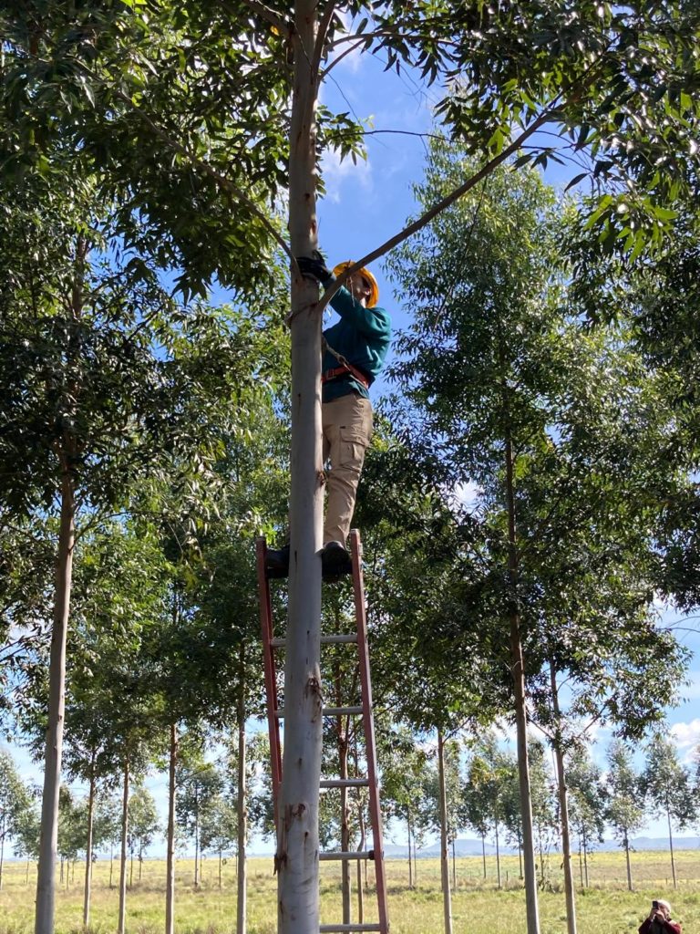 Lee más sobre el artículo El sistema de los «Tres Pisos» que revoluciona la producción sostenible