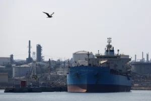 Lee más sobre el artículo Mercados: entre el «Efecto USDA» y la tensión geopolítica