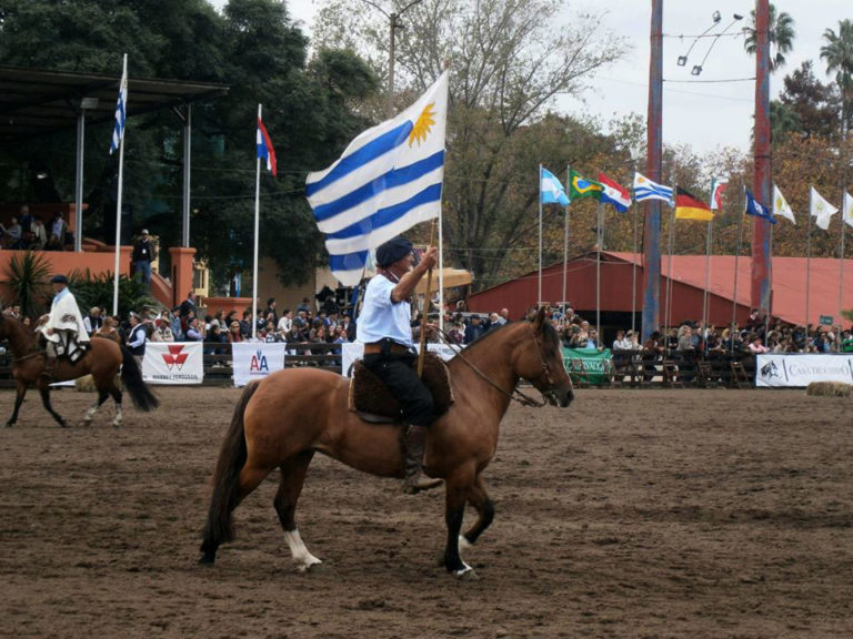 Lee más sobre el artículo El Mundial de Criollos en el Prado contará con 300 ejemplares y fuerte presencia europea