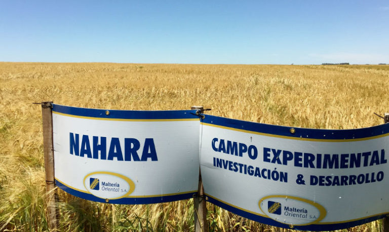 Lee más sobre el artículo El valor de la rotación y el respaldo técnico como ejes