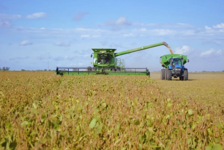 Lee más sobre el artículo El «lastre» de los combustibles tiene ineficiencias que cargan con $8,20 extra por litro de gasoil