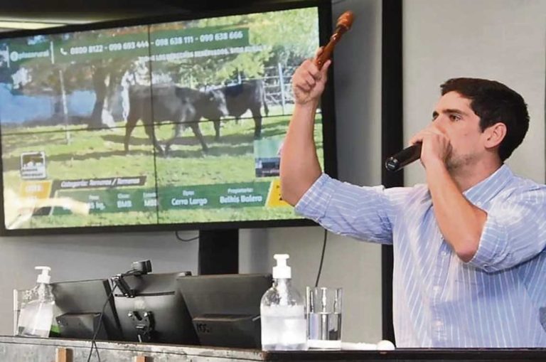 Lee más sobre el artículo Plaza Rural con nuevas condiciones y ventajas financieras con el BROU