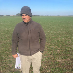 Lee más sobre el artículo Definen altos porcentajes de venta de semillas de colza y cebada que expanden el área de siembra de invierno